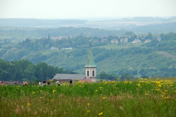 04auersmacher6_lupp_webA4A5F393-F3C5-3812-6DF7-3FD02F524570.jpg